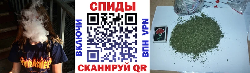Купить где  Пучеж  Бутират буратино 