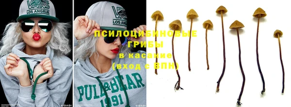 шишки Кукмор