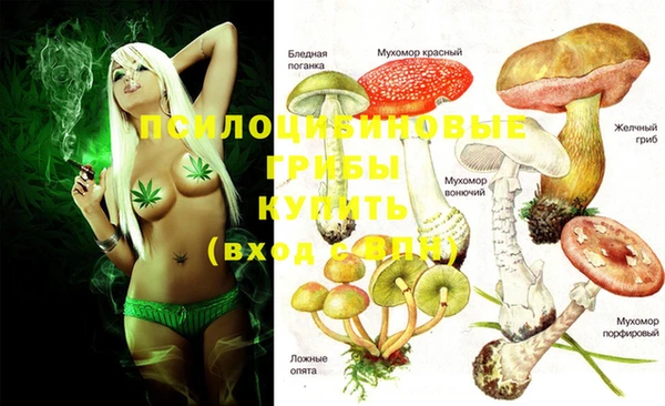 MESCALINE Кулебаки
