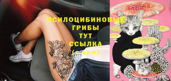 соль ск Куйбышев