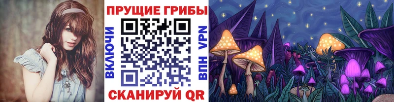 Купить  Пучеж  Псилоцибиновые грибы мицелий 